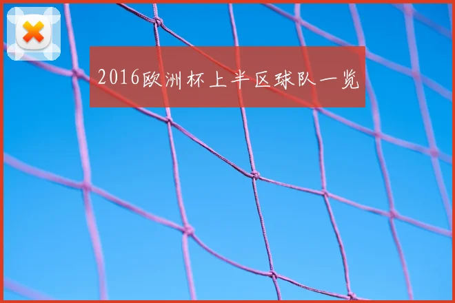 2016欧洲杯上半区球队一览