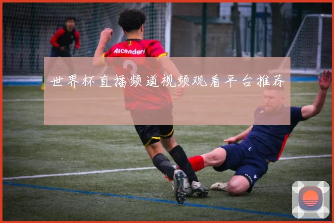 世界杯直播频道视频观看平台推荐