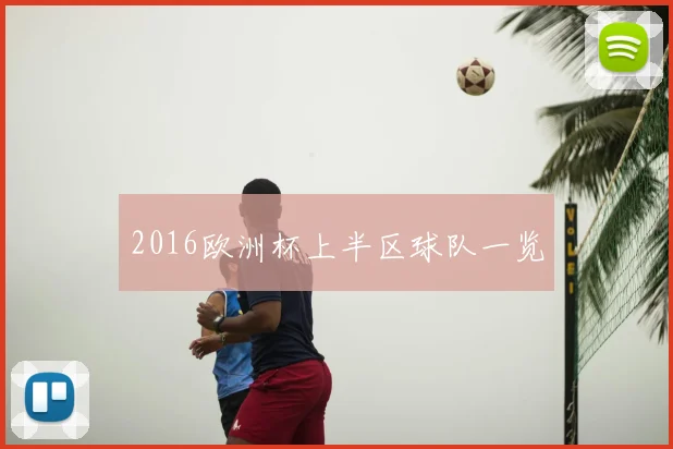 2016欧洲杯上半区球队一览