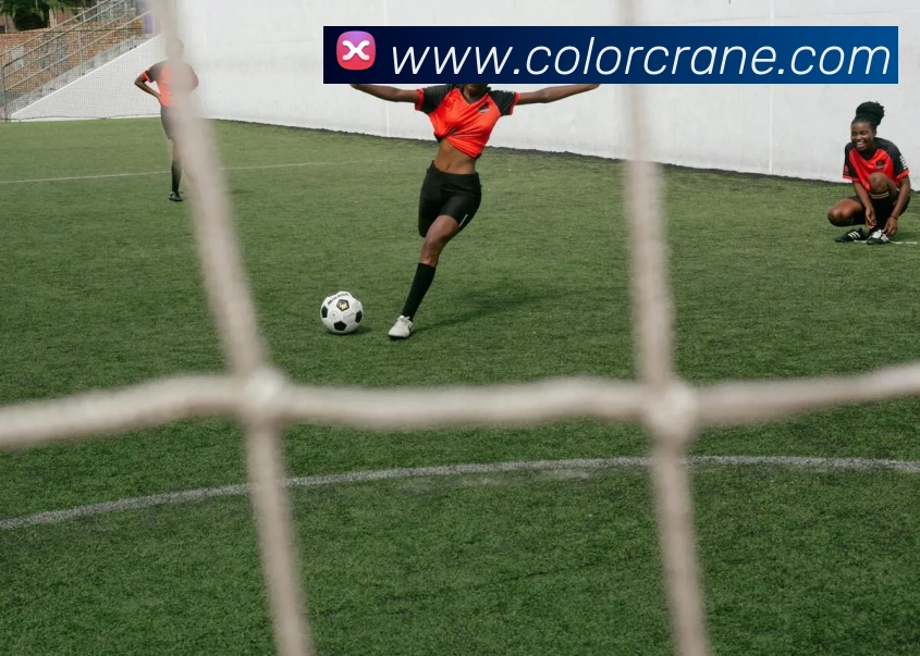 买球官方服务体系